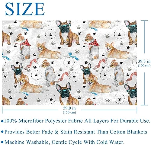 Couverture Corgi Bouledogue plaid doux et chaleureux imprimé