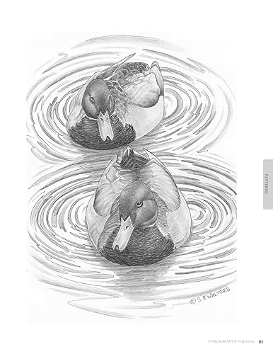 Pyrography Patterns: Basic Techniques and 30 Wildlife Designs for Woodburning (Fox Chapel Publishing) Large, Ready-to-Use Patterns, Both Line and Tonal, plus Tips & Advice from Artist Sue Walters - Image 5