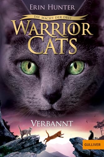 Warrior Cats Staffel 3/03. Die Macht der Drei. ... 3407747411 Book Cover