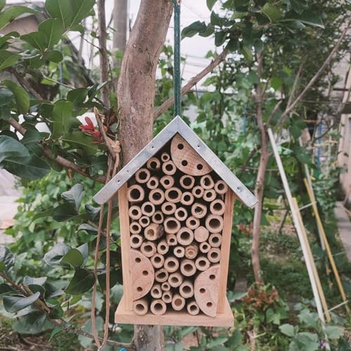 Pollinator house extérieure pour nidification des pollinisateurs