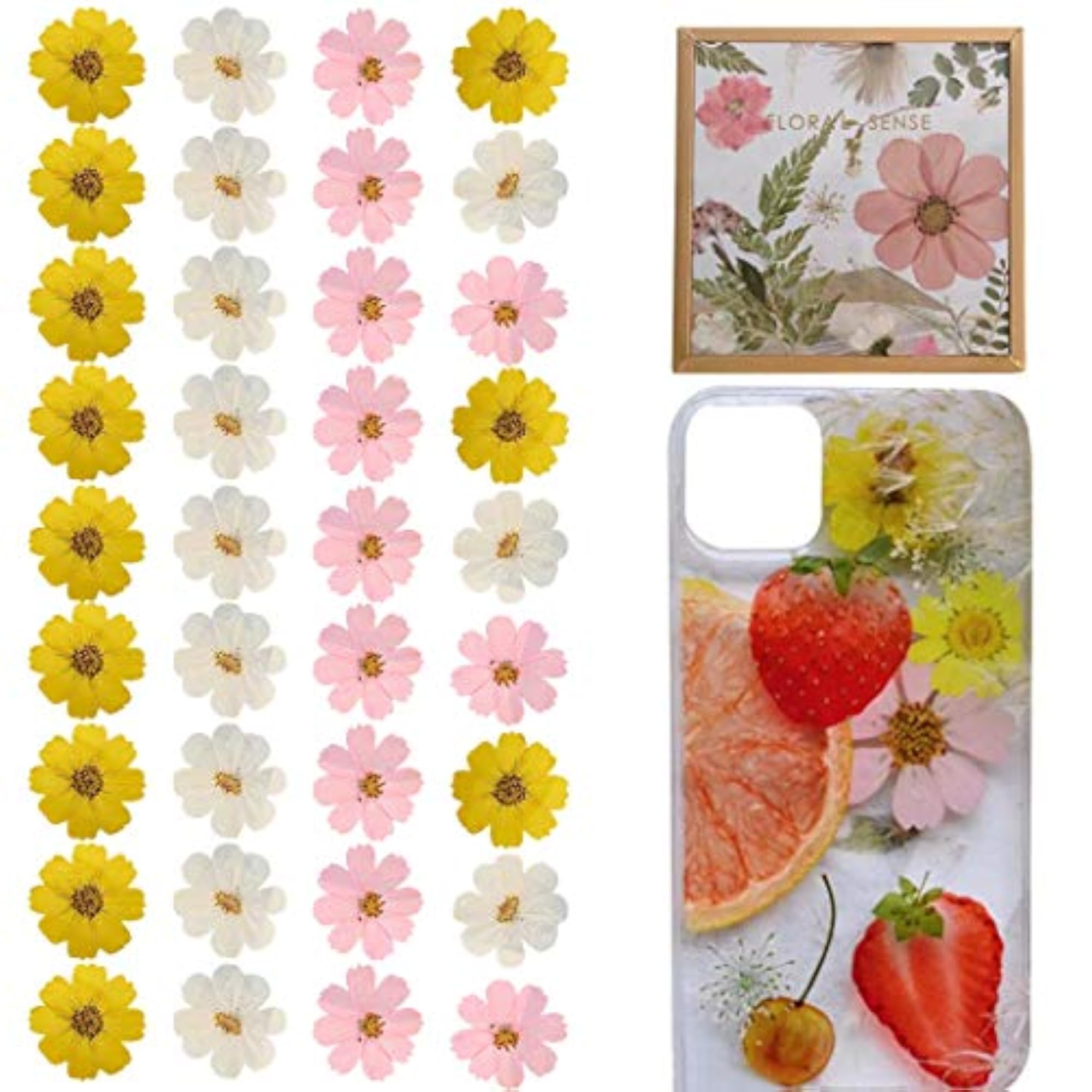 36PCS Pressed Flower Scrapbooking Supplies