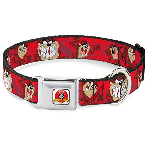 tasmanian devil collar - Buckle-Down Dog Collar Seatbelt Buckle Tasmanian Devil Expressions Red Swirl 15 to 26 Inches 1.0 Inch Wide, Multicolor (DC-WLTTZ003-L)