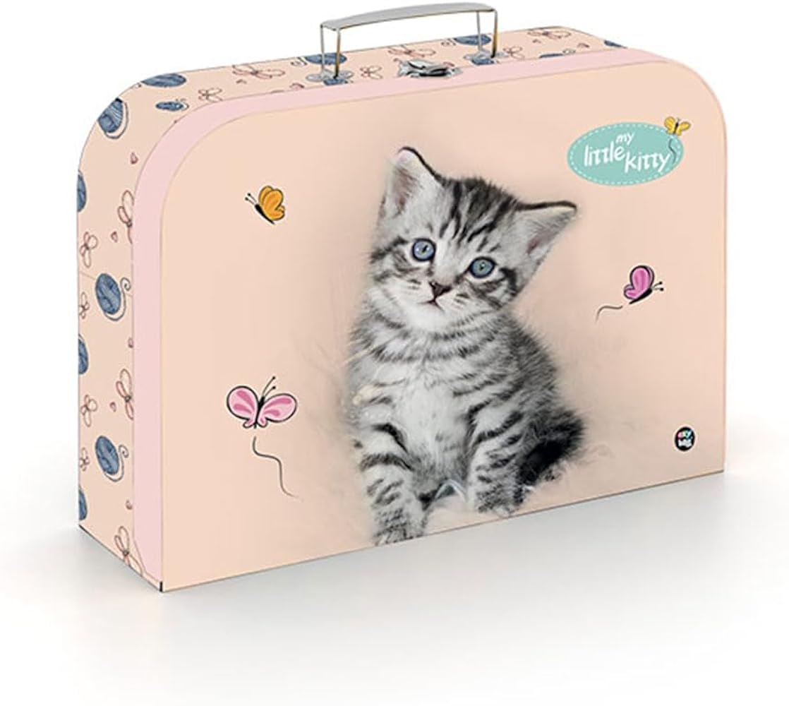 Handarbeitskoffer amazon Clearance