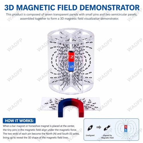 Kit de visualisation des lignes de champ magnétique pour enseignement STEM - 5
