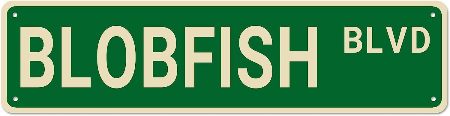 DTHNKL Metal Sign Blobfish BLVD Vintage Retro Tin Aluminum Hanging Sign - Bedroom Kitchen Garden Wall Bar Club Coffee Home Decor 4x16 inch