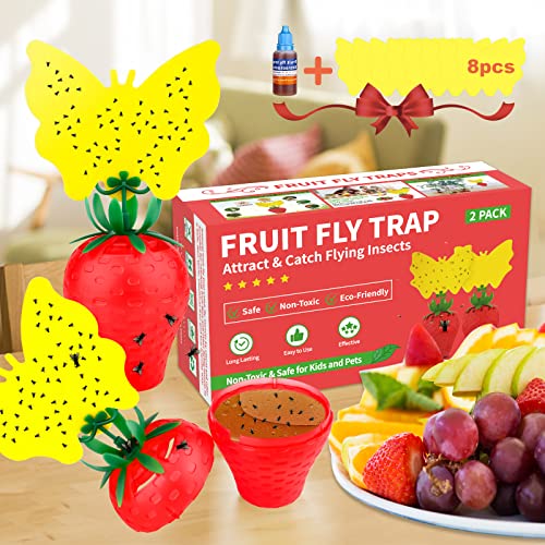 Fruit Fly Traps for Indoors,Fruit Fly Killer Catcher Gnat Trap with Yellow Sticky Pads, Effective Reusable Fruit Fly Gnat Killer Trap Comes with Fruit Fly Attractant for Home Kitchen Plant (2 Pack) Fruit Fly Traps for Indoors,Fruit Fly Killer Catcher Gnat Trap with Yellow Sticky Pads, Effective Reusable Fruit Fly Gnat Killer Trap Comes with Fruit Fly Attractant for Home Kitchen Plant (2 Pack)