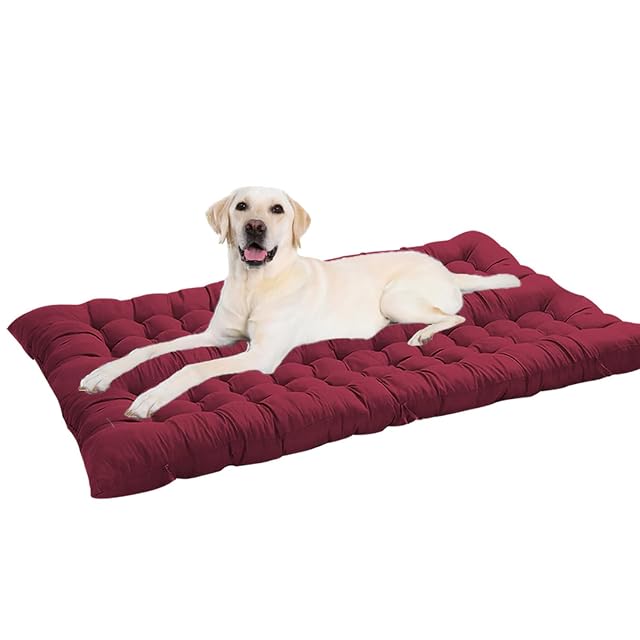 Waigg Kii Colchón extragrande para perros XL/XXL, lavable, calmante y duradero, antiansiedad