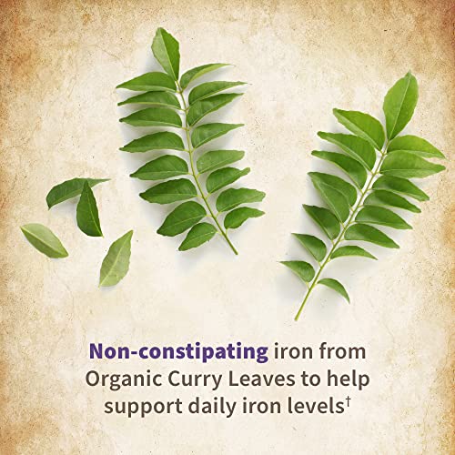 Garden Of Life Prenatal Vitamin: Folate For Energy & Healthy Fetal Development, Non-Constipating Iron, Vitamin C, B6, B12, D3 – Mykind Organics – Organic, Non-Gmo, Gluten-Free, Vegan, 90 Day Supply #TOP6