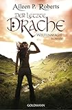  Der letzte Drache: Weltenmagie 1 - Roman