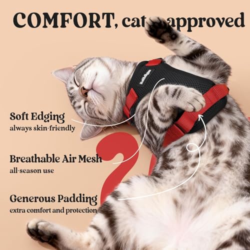 Image of rabbitgoo Cat Harness and Leash Set, Escape Proof Vest, Black & Red | Soft Breathable Mesh, Easy Adjustable Fit, Snap Buckles, Sturdy Clip, Reflective Strips, for Medium to Large Cats Walks, M
