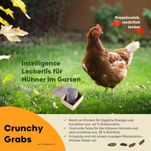 Getrocknete Schwarze Soldatenfliegenlarven 1 kg | Proteinreiches Naturfutter für Hühner, Vögel, Reptilien, Igel & Fische | Ergänzungsfutter für Hunde & Katzen | EU | Ohne Zusatzstoffe