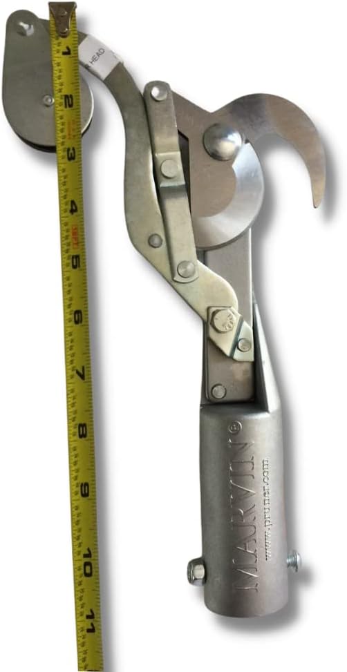 Marvin Pruner Head