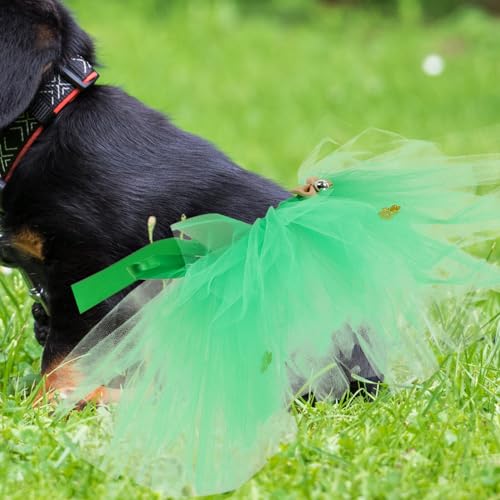 Disfraz para perro Saint Patricks Day con tutú y sombrero miniatura 4