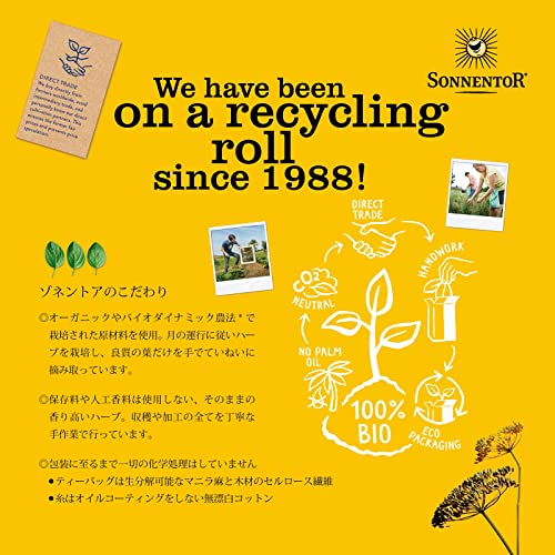 Foto von Sonnentor Tee-Adventskalender (37,5 g) - Bio