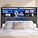 Hzuaneri Headboard with 3-Tier Storage Shelves, Velvet Upholstered Head Board with 2 Outlets, USB Ports & LED Light, Soft Backrest for Queen Size Bed, Black BH15204B