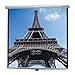 Deluxe Model B Matte White Manual Projection Screen Viewing Area: 70" H x 70" W