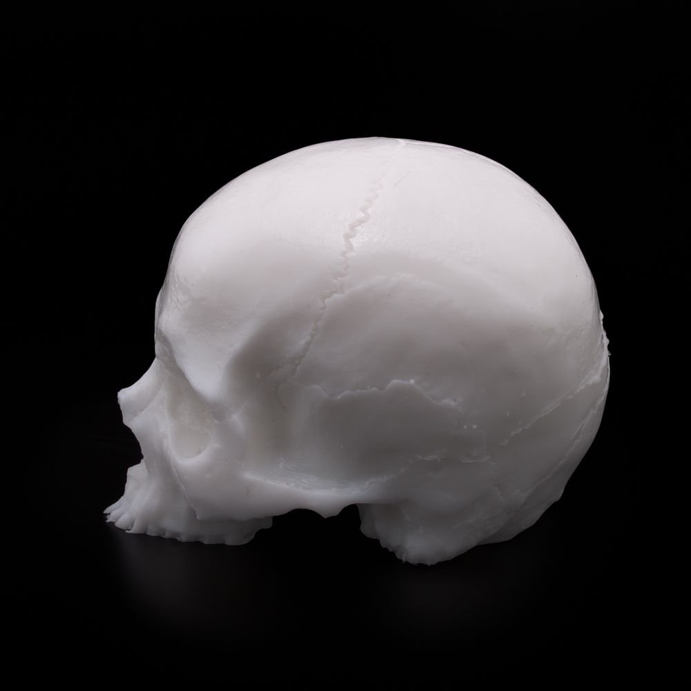 A Pound of Flesh Practice Tattoo Skull, Tattooing Body Part for Designing Artwork, Testing Products or Display Professional Quality, White
