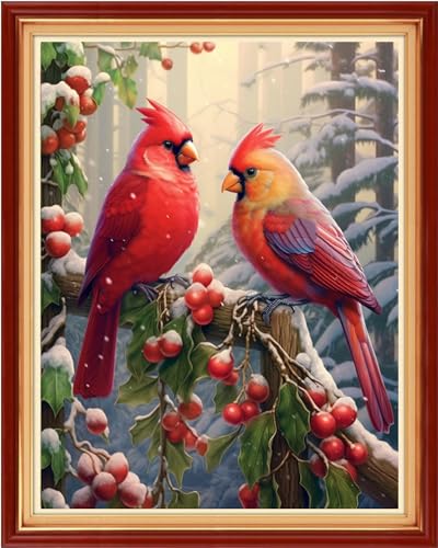 Image of Foxhool Beginners Cross Stitch Kits Stamped Full Range of Embroidery Kits for Adults DIY Cross Stitches kit Embroidery Patterns for Needlepoint kit-Birds on Trees 16x20 inch