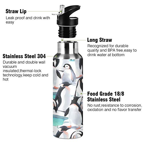 Auuxva Penguin Ocean Polar Wildlife Water Bottle Vacuum Insulated Stainless Steel Thermos Mug Kids Water Bottle With Straw And Handle Keep Hot Cold Sport Bike Fit Travel Outdoor 20 Oz #TOP2