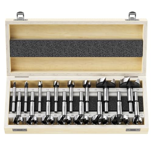 WildFun Set di punte Forstner 16 pezzi, punte Forstner di alta qualità per la lavorazione del legno, foratura del legno con gambo rotondo, accessori per trapano, Ø6-54mm con custodia