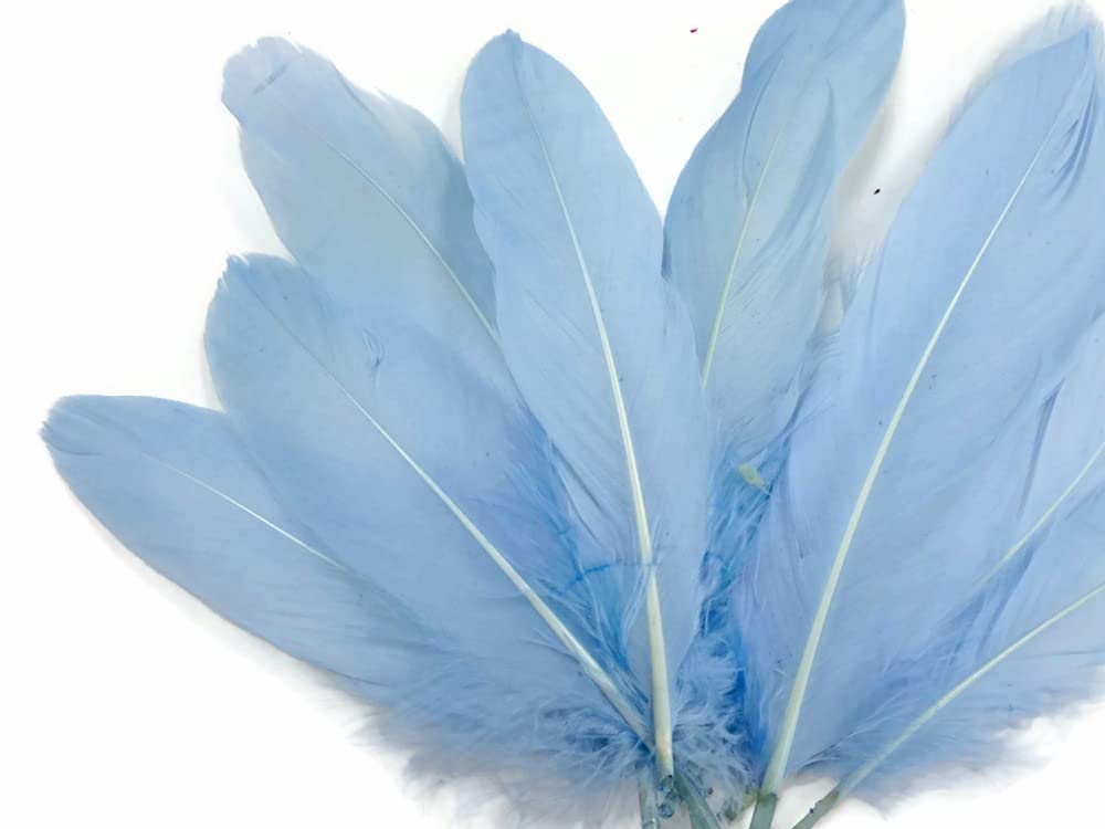 bluee feathers はまく〜ん様 3本おまとめ品 bluee feathers はまく〜ん様 3本おまとめ品 Amazon.com: 50 Pcs