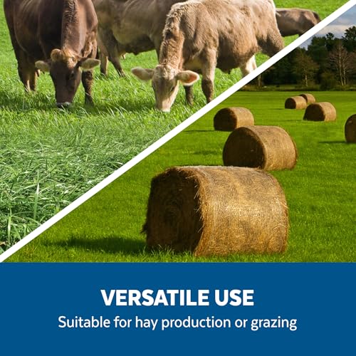 Forage Crop Seed Blends For Cattle Feed Temperate Climates