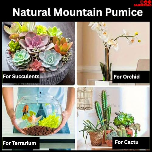 Image of Premier Plants Brown Lava Chips for Aquarium Substrate /Base for Indoor Plants /Aquarium Planted Soil Size 2-3MM 2 Liters (1.8Kg)