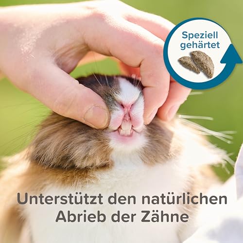 Beaphar Care+ Chinchilla, 1,5kg