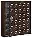 Salsbury Industries 19165-30ZSC Cell Phone-Access Panel-6 Unit Surface Mounted-Resettable Combo Locks with 5-Inch Diameter Compartments, Bronze