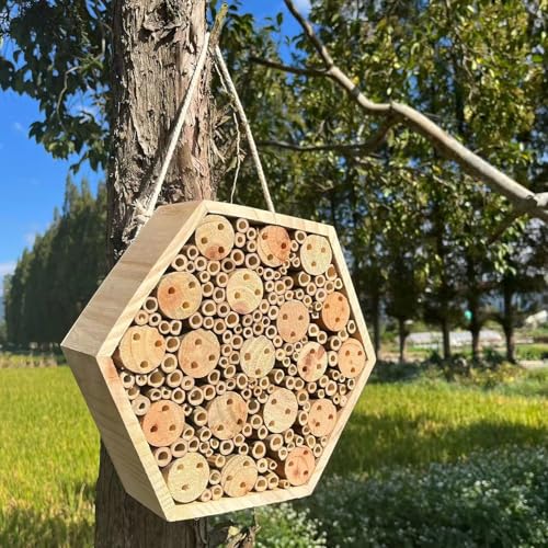 Casa de madera para jardín de diseño hexagonal resistente para insectos y abejas 3