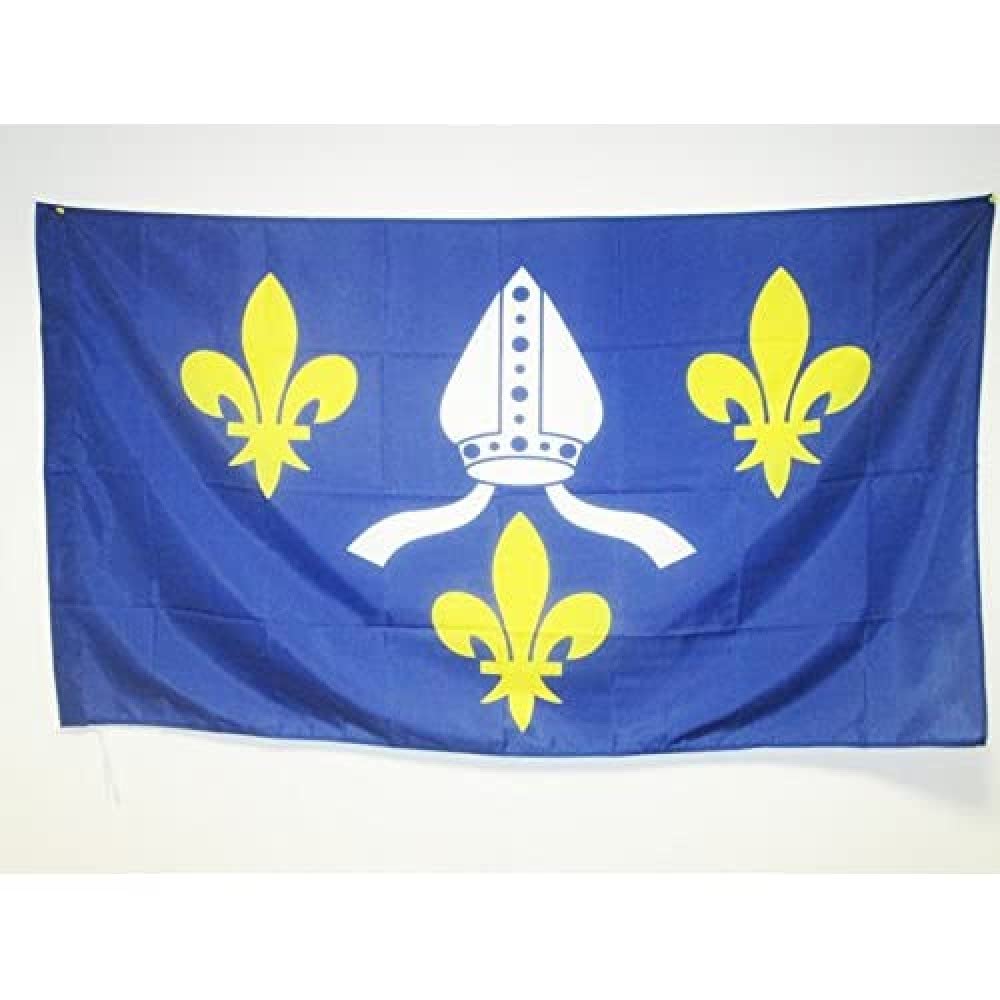AZ FLAG - French Province of Saintonge Flag - 3x5 Ft - County of Saintonge Banner with Sleeve - 100% Polyester - Fade Resistant - Vivid Colors - 3' x 5' Feet - 150x90 Cm