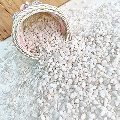 Image of Reiki Crystal White Agate Chips Stone for Vastu Natural White Agate Crystal Chips for Aquarium Home Decor Garden Table Decor Stones Pebble Reiki Gemstones 1 Kg