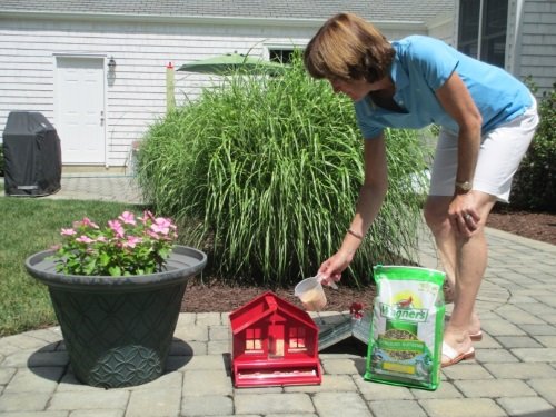 Wagner's 62042 Songbird Supreme Blend Wild Bird Food, 8-Pound Bag #TOP3