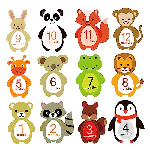 Ipetboom 12V[cpLOXebJ[ fUC̎