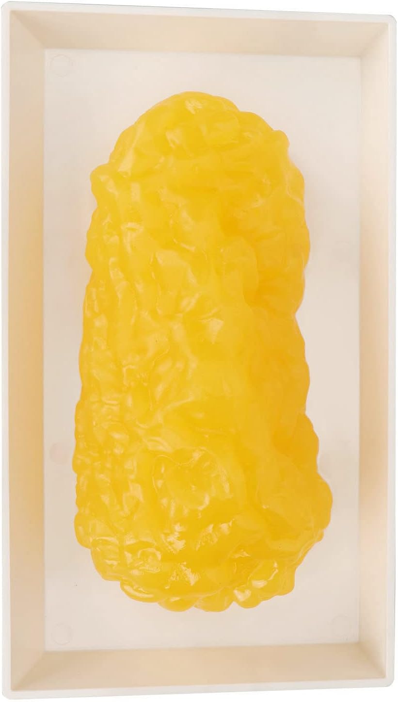 Human Body Fat Replica, 1lb Human Fatty Tissue Demonstration Model for Nutritionist Scien Course