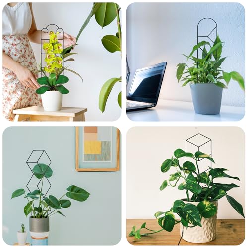 Image of 16 Inch Plant Trellis Indoor for Potted Plants 4 Pack Indoor Plant Trellis for Climbing Plants Houseplant Trellis Metal Garden Pot Trellis for Vine Ivy Support(16inch Black)