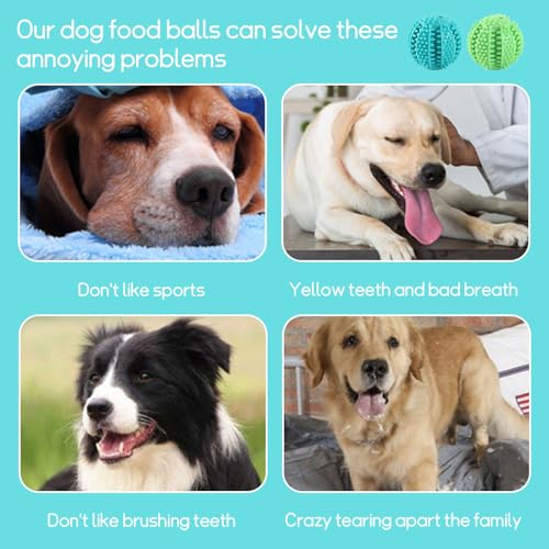 NEERIX Futterball für Kleine Große Hunde,Zahnpflege Hunde Spielsachen,Naturkautschuk Hundespielzeug Intelligenz Ball,Interaktiver Leckerli Spender,Zahnreinigung, IQ Training(5 cm, Blau,Grün)