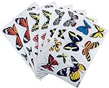 Butterfly Window Stickers, Window Decals, Removable, Classroom Decorations, Earth Science Spring Decorations - Set of 60 Decals