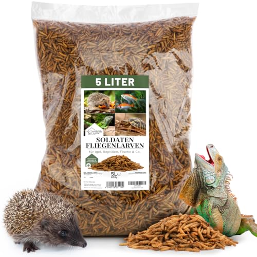 WILDLIFE HOME Soldatenfliegenlarven getrocknet 5L I Proteinreiches Insektenfutter für Reptilien Fische Schildkröten Igel & Nager I Ganze Larven hochwertiges Naturfutter