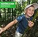 BAMBÚ GIGANTE MOSO 60 semillas - Phyllostachys pubescens - „El rey de...