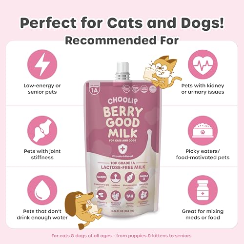 Choolip Berry Good Milk for Cats & Dogs – 10-Pack Lactose-Free Pet Milk, 200ml Pouches – Vet-Formulated Hydrating Drink with Cranberry, CoQ10, Glucosamine & Omega-3 - Thumbnail 4