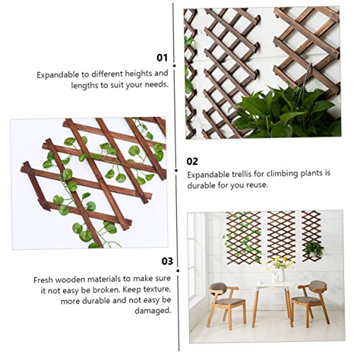 Treillis de jardin en bois carbonisé résistant pour séparation extérieure - 4
