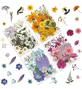 LUXEEASE 110P 4 Color Long Stem Dried Flowers for Crafts, Real Natural Pressed Flowers in Mixed T...