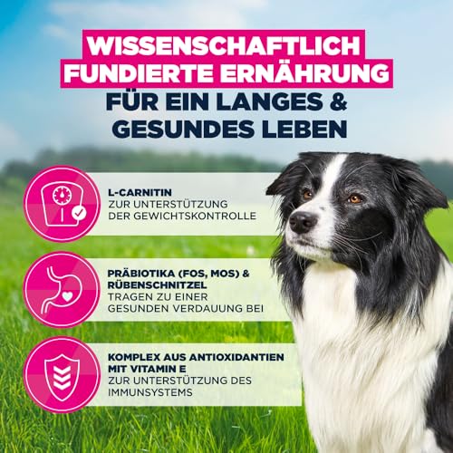 Eukanuba Senior Hundefutter mit frischem Huhn für mittelgroße Rassen, Premium Trockenfutter für ältere Hunde, 15 kg