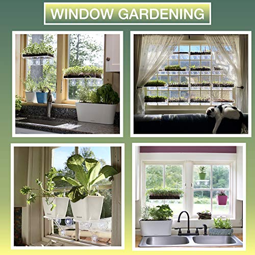 Window Garden Aquaphoric Self Watering Planter (7”) + Fiber Soil = Foolproof Indoor Garden. Decorative Planter Pot for House Plants, Flowers, Herbs, Violets, Succulents. Easy Looks Great.