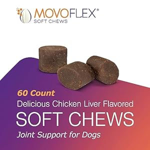 Joint-Support-Supplement-for-Dogs-Hip-and-Joint-Support-Dog-Joint-Supplement-Hip-and-Joint-Supplement-Dogs-120-Soft-Chews-for-Large-Dogs-By-Virbac - Cucciolini Doodles Joint-Support-Supplement-for-Dogs-Hip-and-Joint-Support-Dog-Joint-Supplement-Hip-and-Joint-Supplement-Dogs-120-Soft-Chews-for-Large-Dogs-By-Virbac