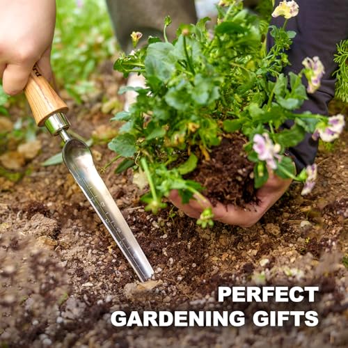 Image of Berry&Bird Seeding Widger,Stainless Steel Seed Dibber Tool with Measuring Scale,Wooden Handle Garden Bulb Trowel for Seed Planting Tool Hand Shovel Planter Transplanter Dibber Soil Digginng