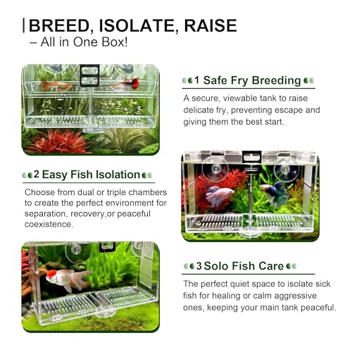 Image of Triple-Chamber Fish Breeder Box for Fish Tank, Guppy Fry Nursery | Pregnant fish give birth up top; newborns drop below out of reach of adult fish. Isolates bettas or shrimp in your aquarium.