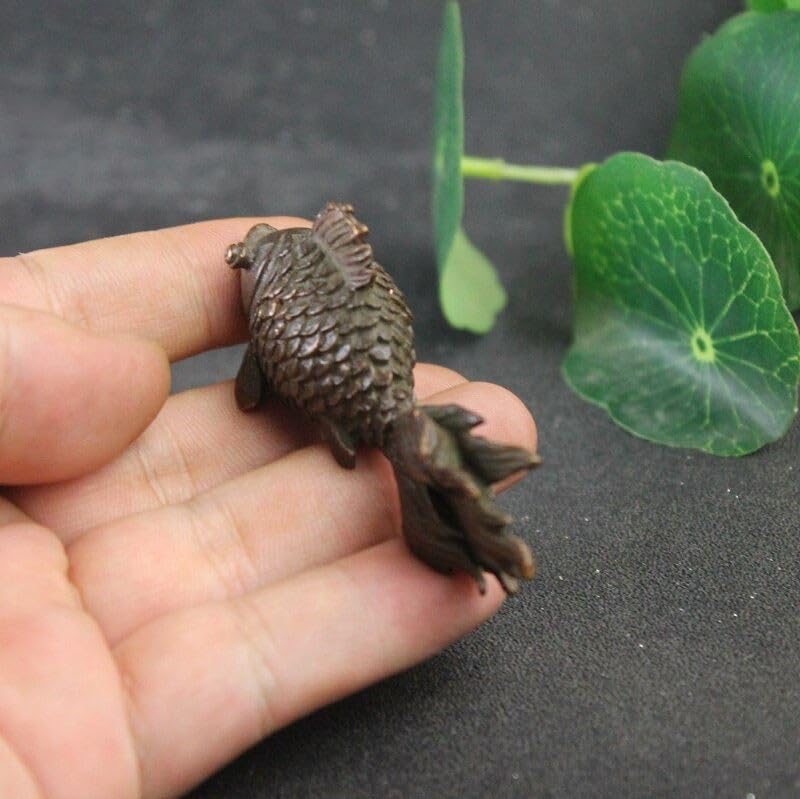 Amazon.co.jp: 78g 金魚 魚 きんぎょ キンギョ ゴールドフィッシュ