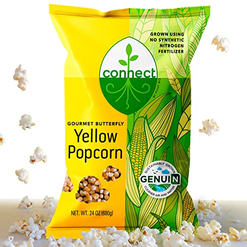 Top 10 Best Unpopped Popcorn Top Picks 2023 Reviews